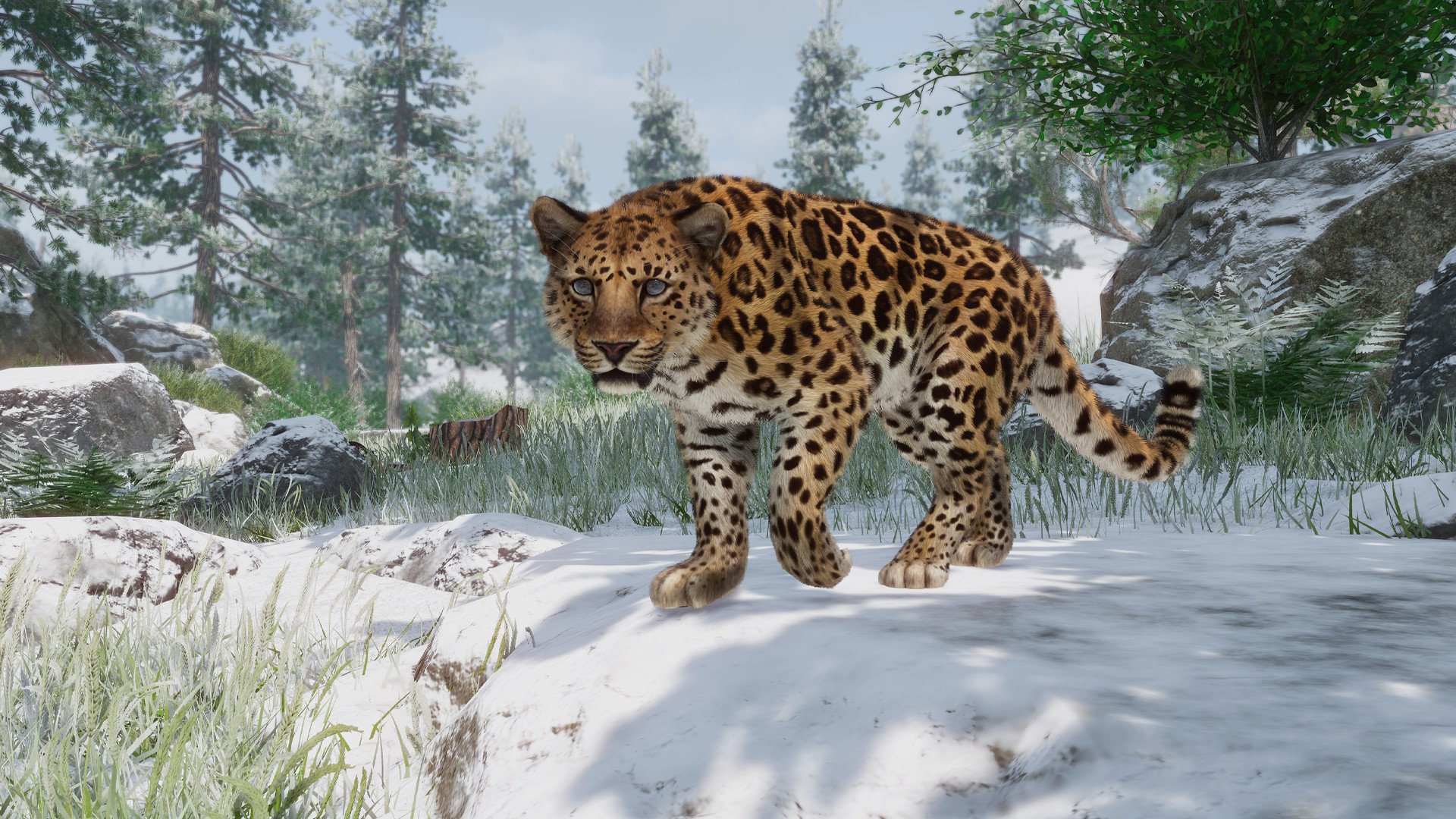 planet-zoo-conservation-pack-dlc-hype-games
